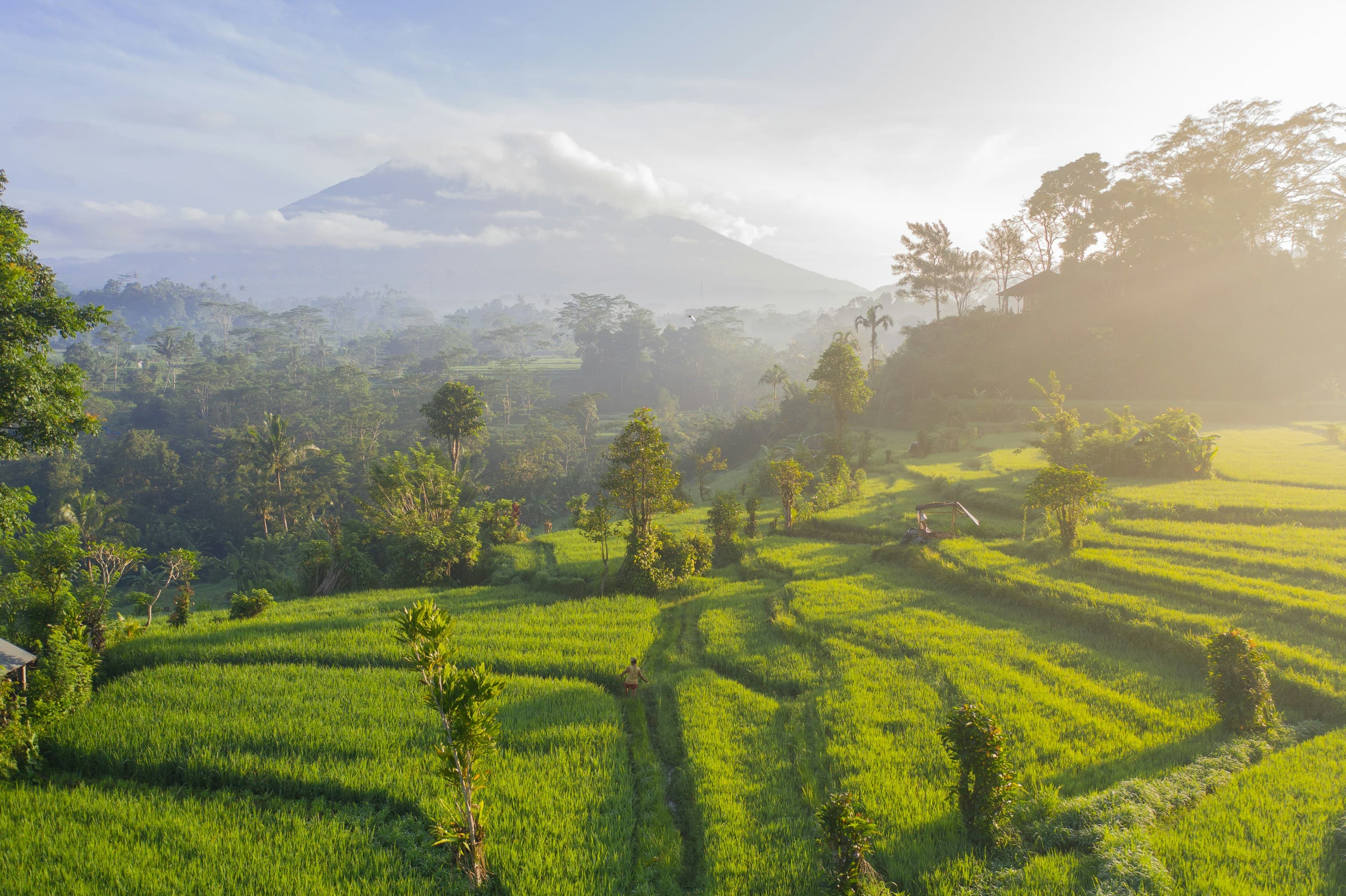 Llegada a Bali