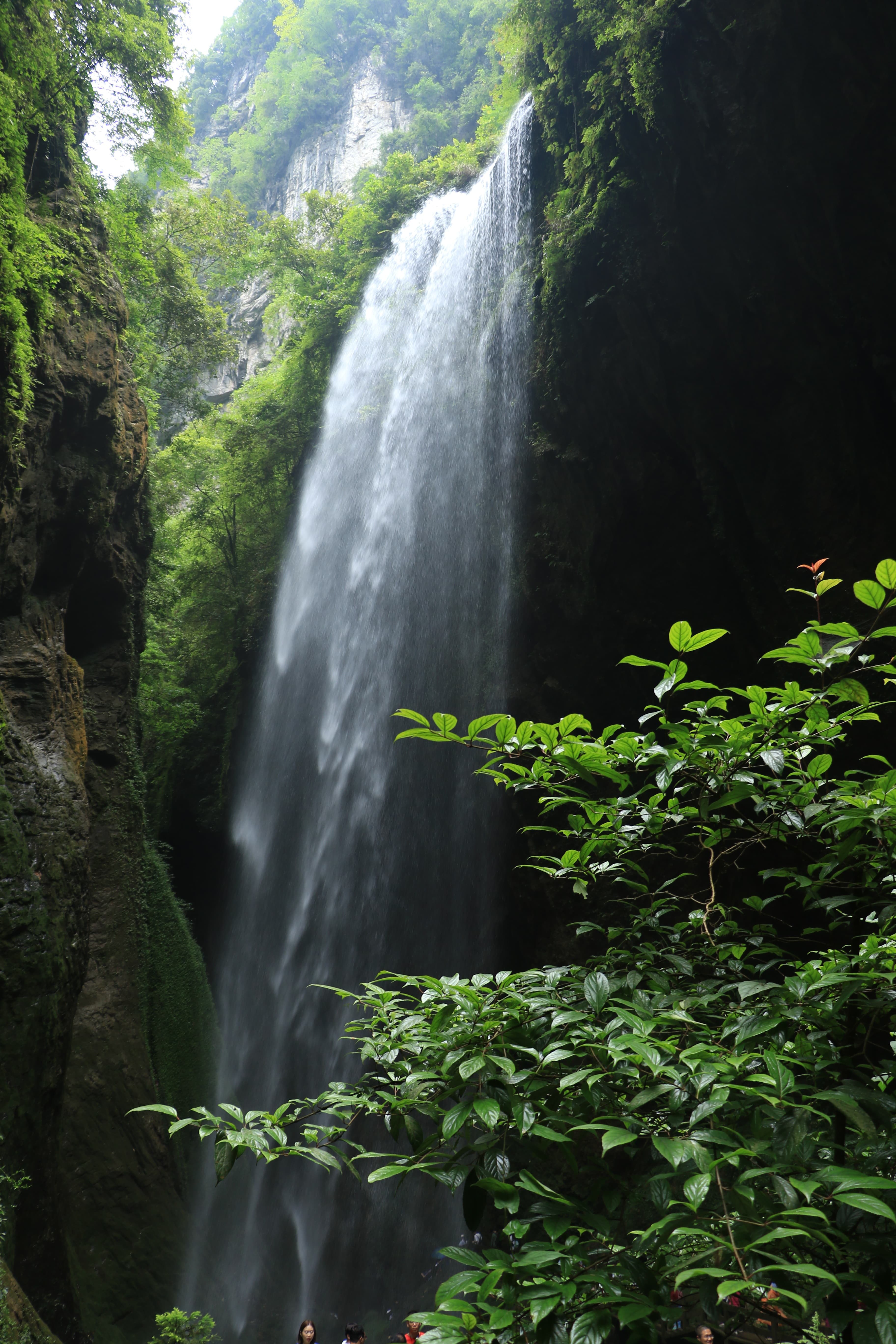 Excursión a Wulong