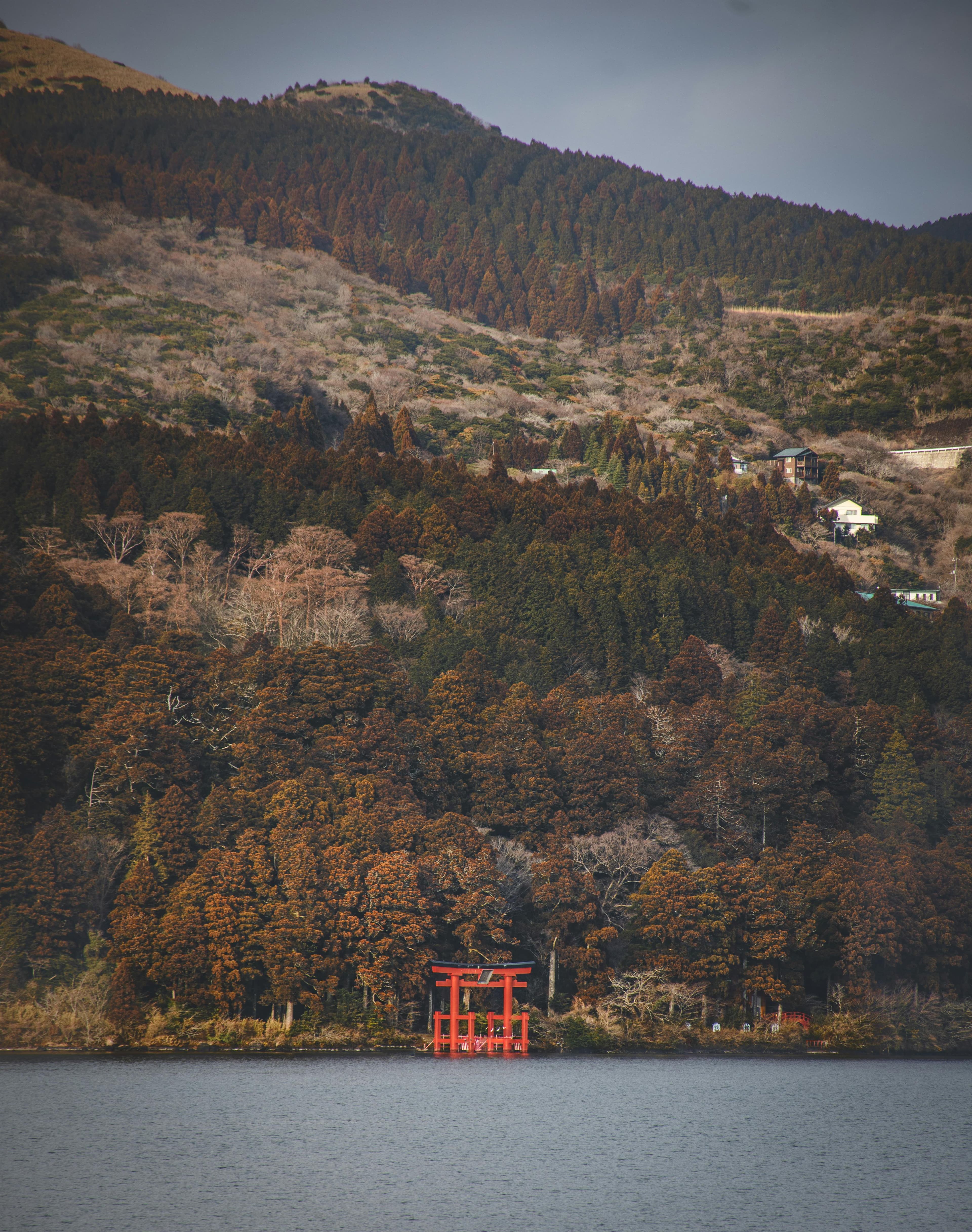 Monte Fuji y Hakone