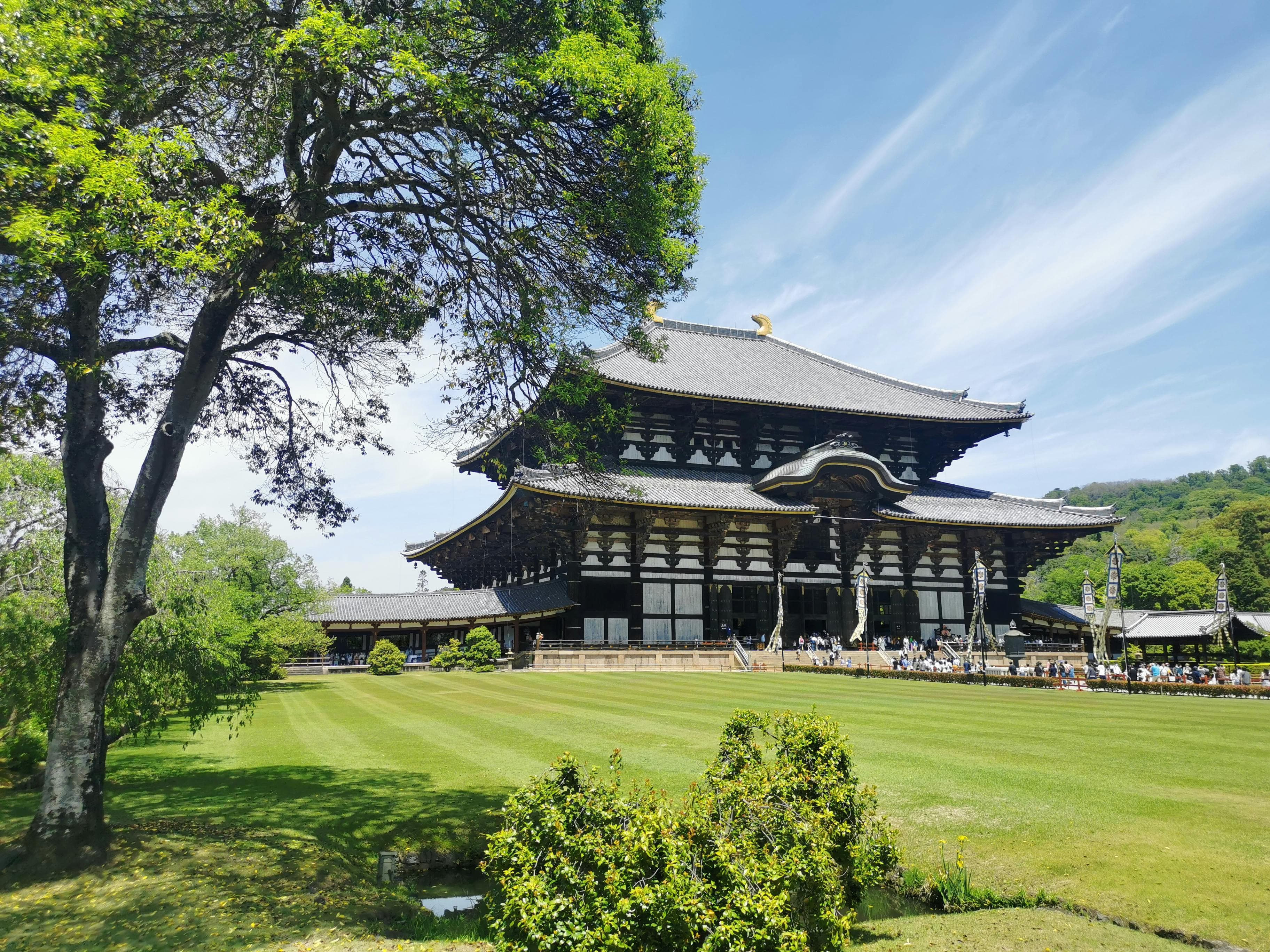 Excursión a Nara