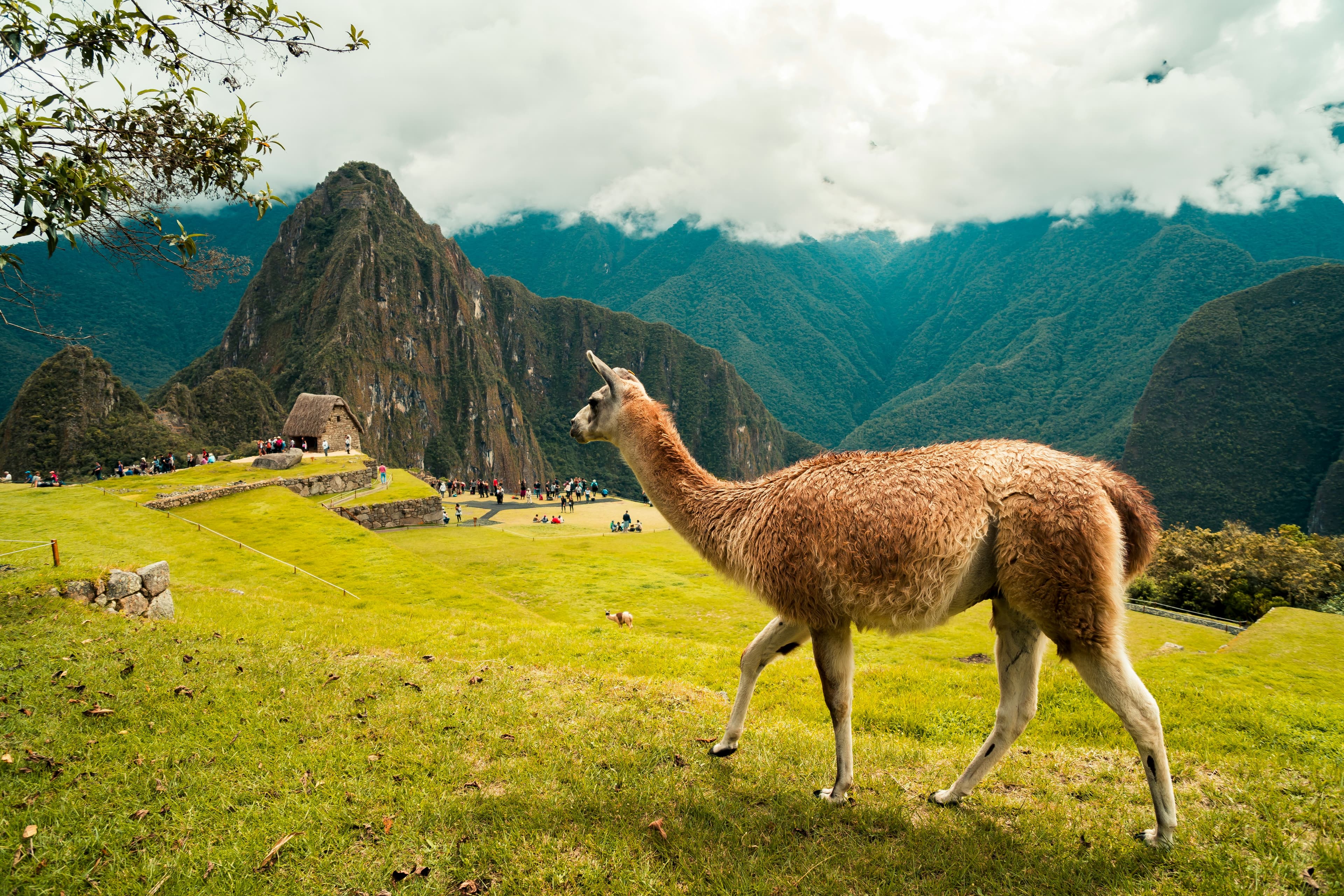 Vuelo a Cusco — El Ombligo del Mundo