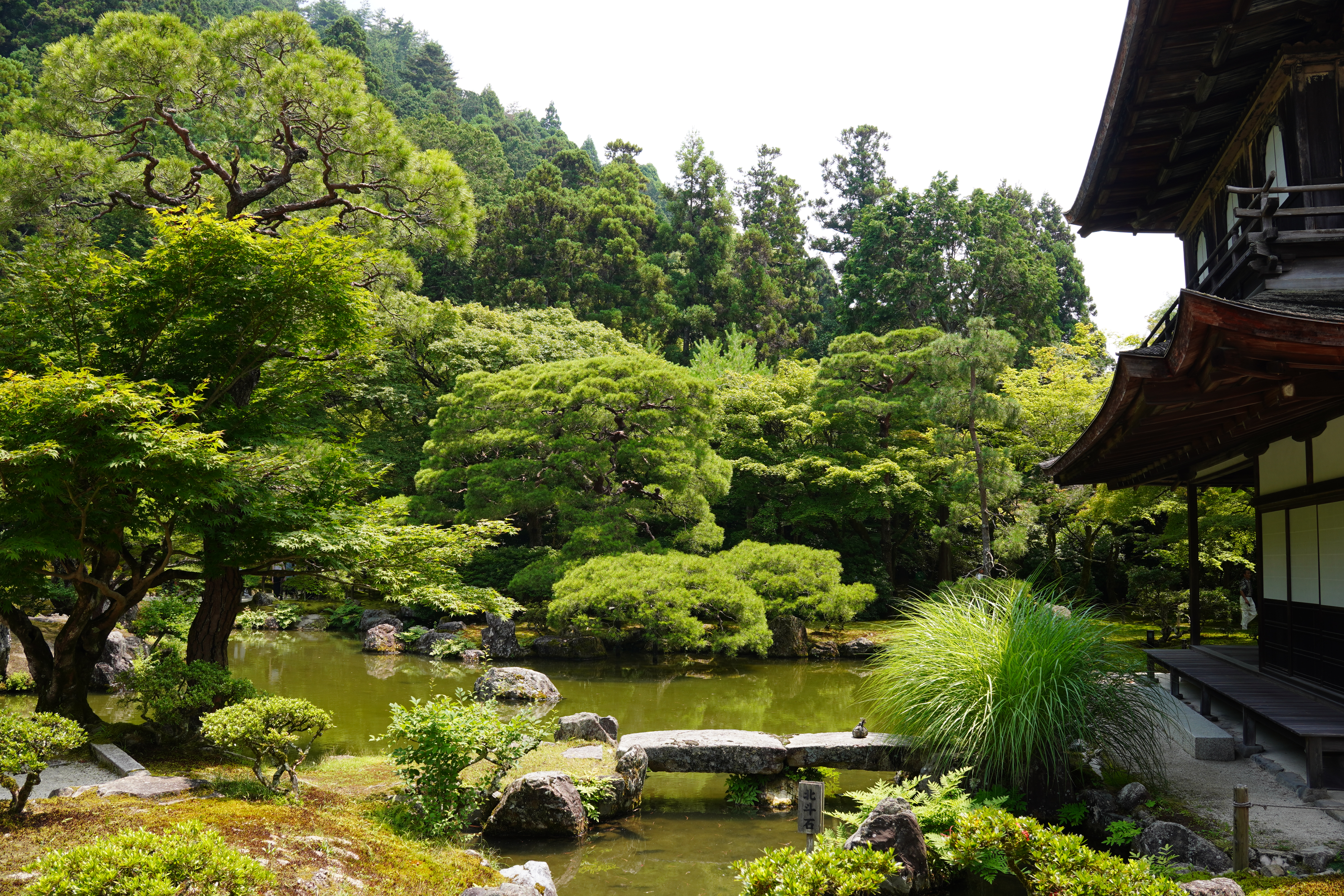 GodaFerd trip photo 16