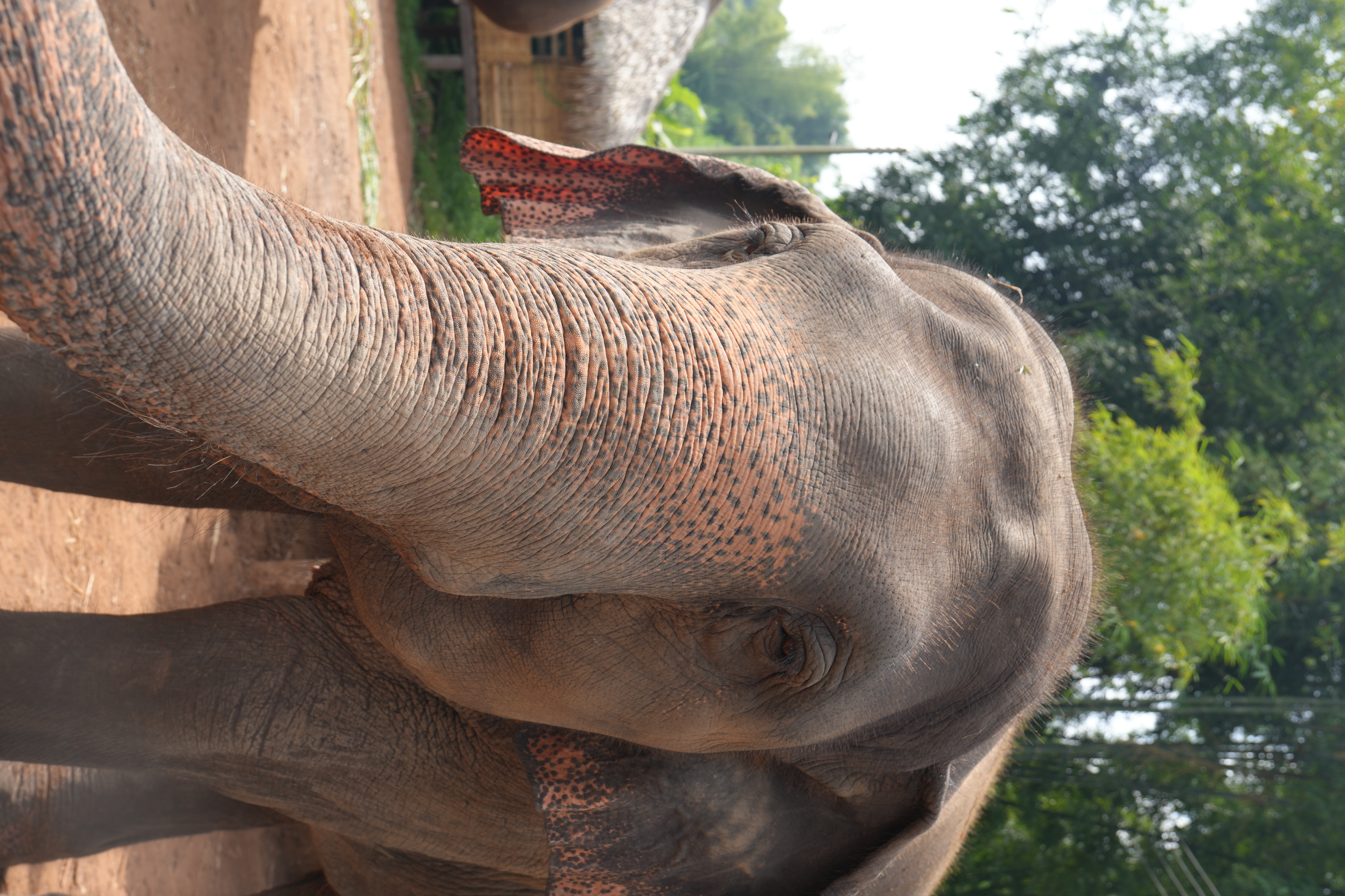 GodaFerd trip photo 22