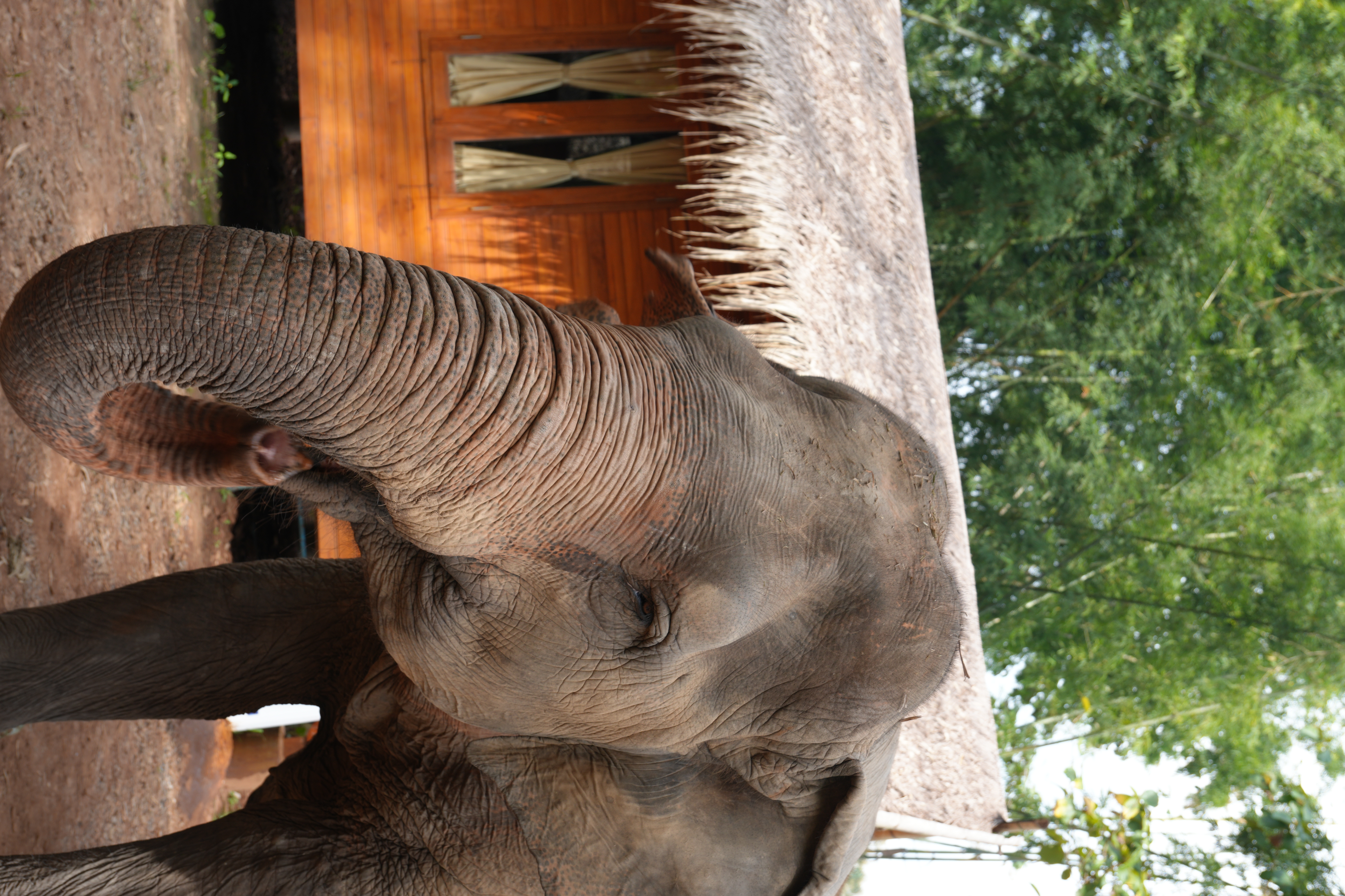 GodaFerd trip photo 24