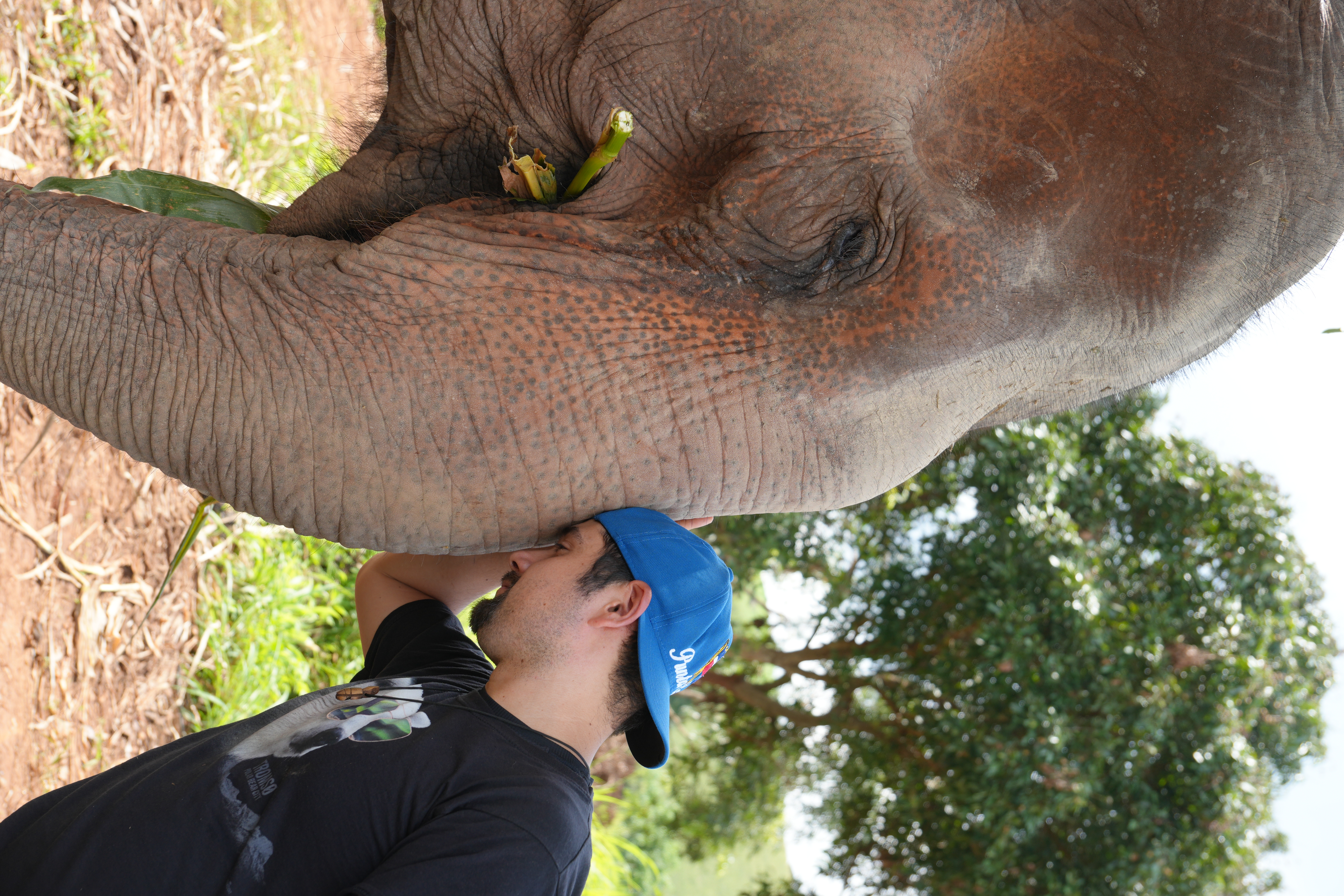 GodaFerd trip photo 31