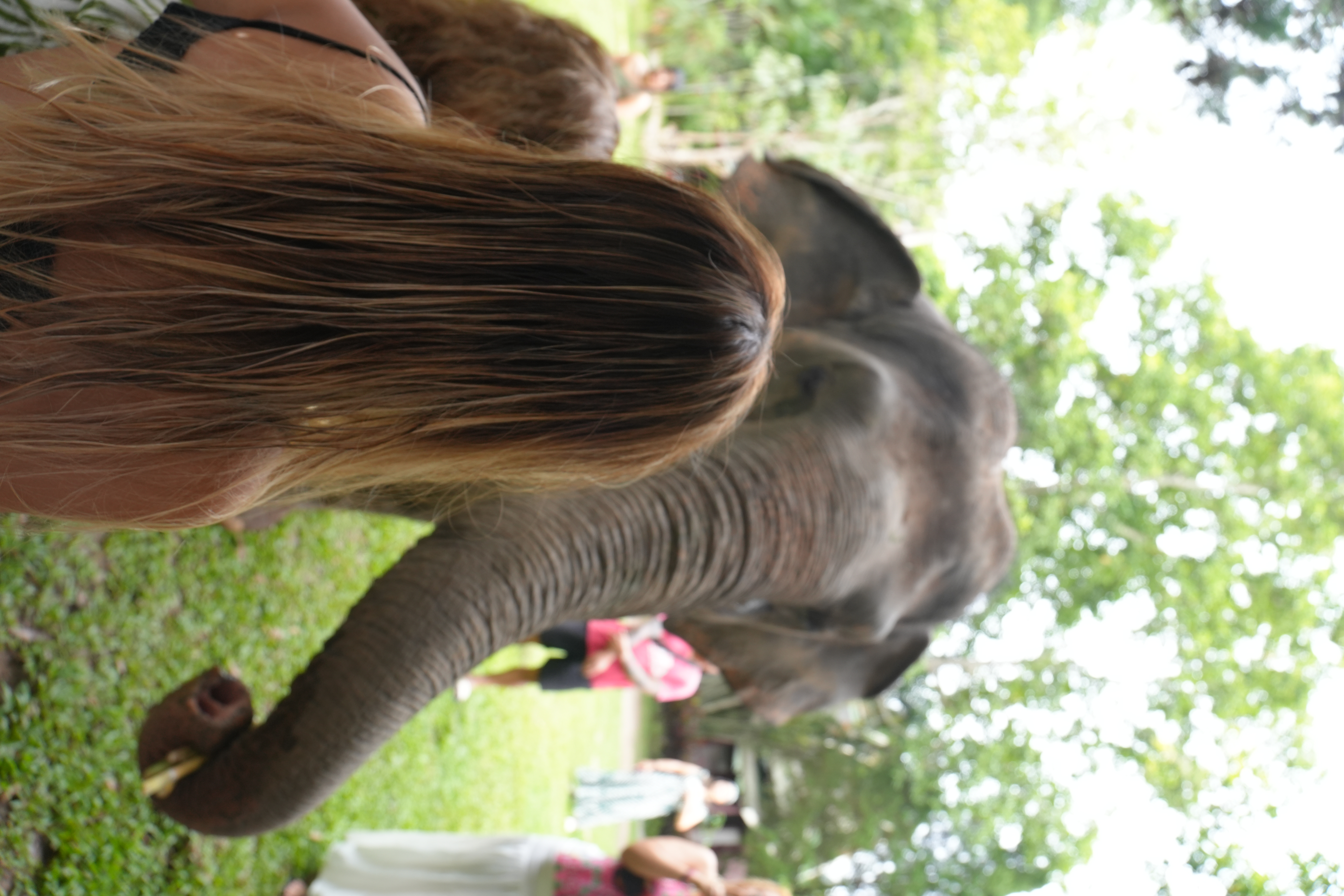 GodaFerd trip photo 42