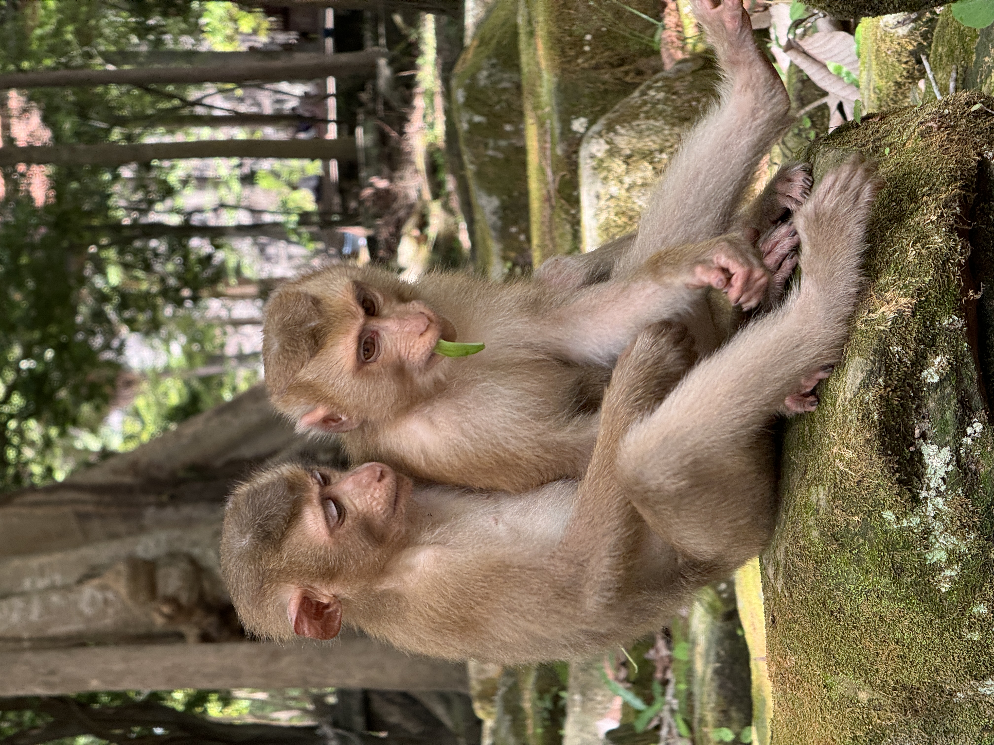 GodaFerd trip photo 54